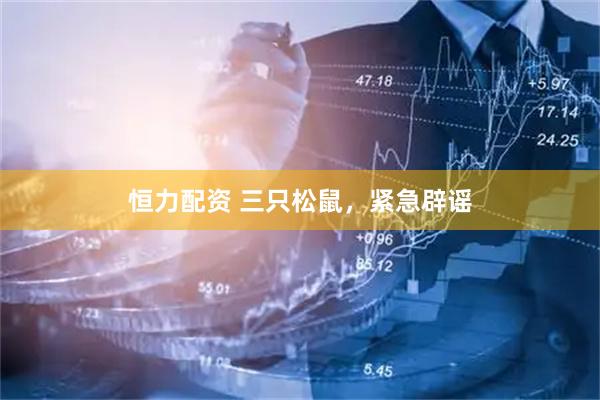 恒力配资 三只松鼠，紧急辟谣